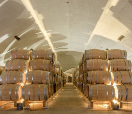 Sousão - Douro, Quinta do Vallado