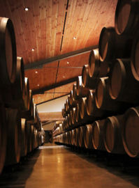 Sauvignon Blanc, Sémillon, Muscadelle - Clos Floridène Blanc,