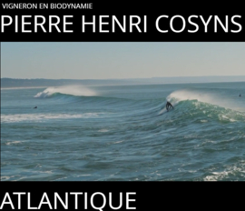 Sauvignon Blanc - Atlantique, Chateau Grand Launay - Pierre-Henri Cosyns, Bordeaux