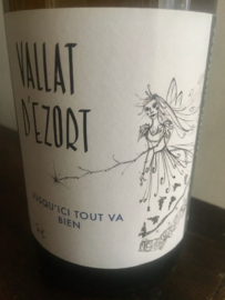 Vallat d'Ezort, Jusqu'ici tout va bien 2020