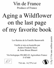 Aging a wildflower on the last page of my favorite book (2013)
