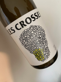 No Control, Les Crosses 22/23