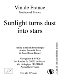 Sunlight turns dust into stars, 2022