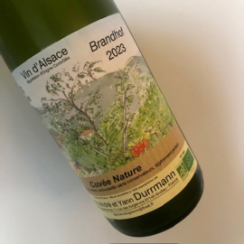 Riesling sur calcaire Brandhof 2023