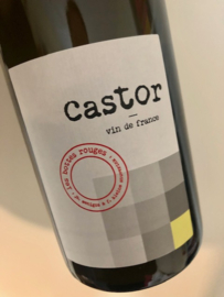 Castor 2020