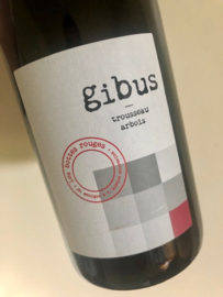 Gibus 2023