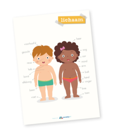 Educatieve poster, lichaam