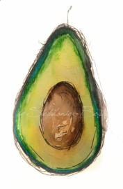 Aquarel avocado
