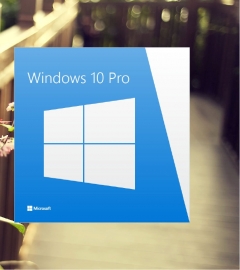 Windows 10 Pro 32/64bit