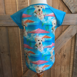 T-shirt hond met parasol maat 104