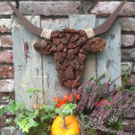 Workshop herfstbull woensdag 7 oktober 2026