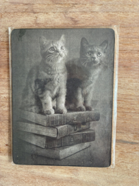 Nostalgisch bordje 2 kittens
