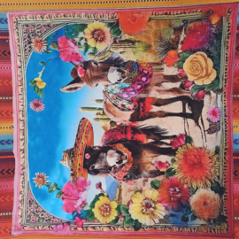 Tas paneel Mexicano