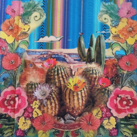 Tas paneel Mexicano