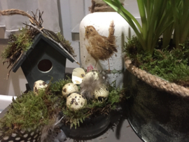 Workshop dienblad voorjaar donderdag 12 maart 2026