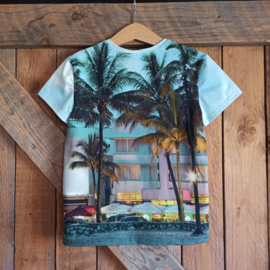 T-shirt palmboom maat 116