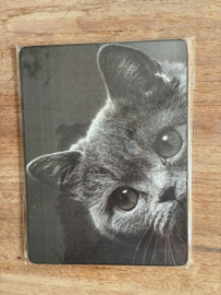 Nostalgisch bordje poes