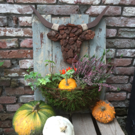Workshop herfstbull woensdag 7 oktober 2026