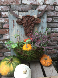 Workshop herfst bull donderdag 26 september