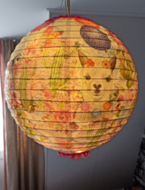 Keuze kinderworkshop lamp(ion)