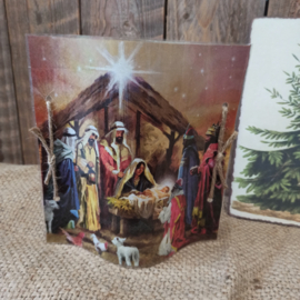 Windlicht cover kerststal
