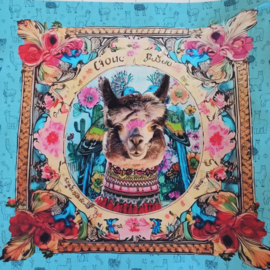 Tas paneel Mexicano