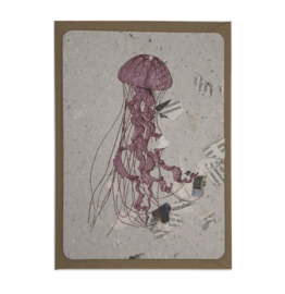 compass jellyfish