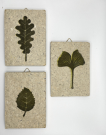 ginko blaadje