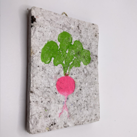 radish