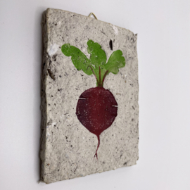beet