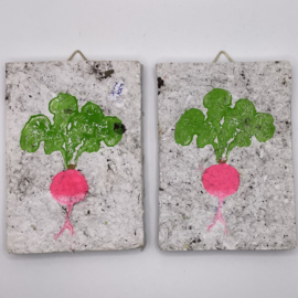 radish