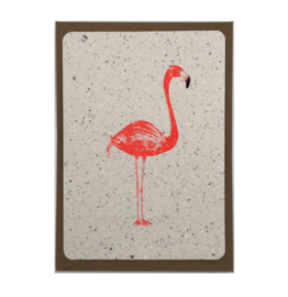 flamingo