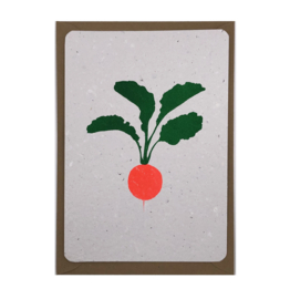 radish