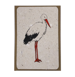 stork