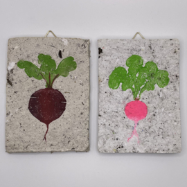 beet