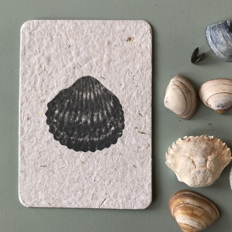 hartschelp
