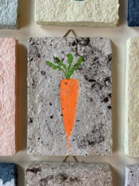 carrot