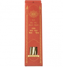 23. BRAHMA SATVA