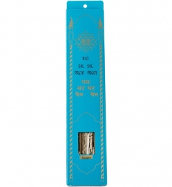 22. SWAMI