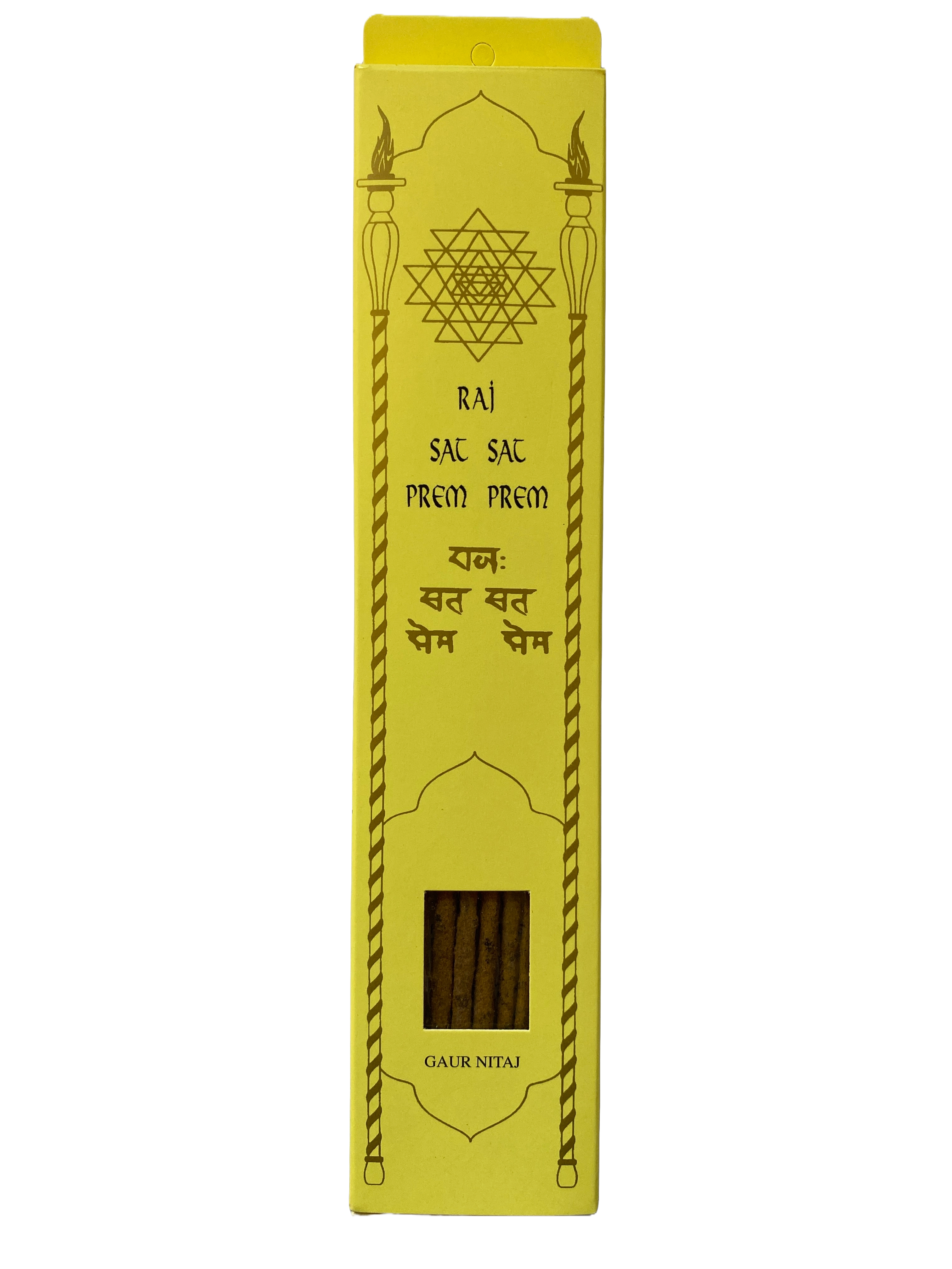 12. GAUR NITAJ