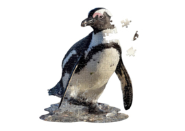 I Am Lil - Pinguïn
