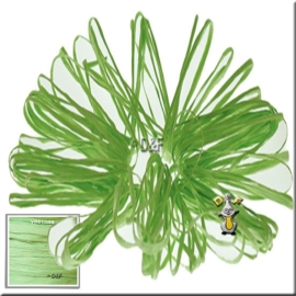 Raffia Licht groen 30m