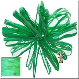 Raffia Groen 30m