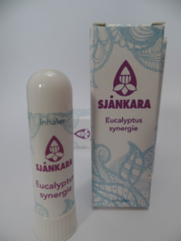 Inhaler Eucalyptus Synergie