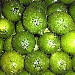 Limoenschil gedestilleerd BIO - citrus aurantifolia