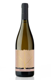 Tenuta Santori - Marche Rosato IGT