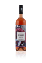 Vigneti Vallorani - Marche Rosato IGP - Octavum