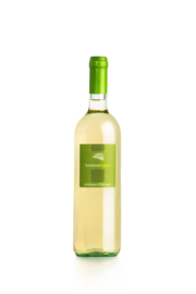 Lepore - Trebbiano Tenimenti DOC