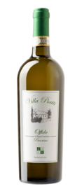 Collevite - Offida Pecorino DOCG Villa PIatti - BIO