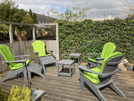 Classic Cabane chair lime green